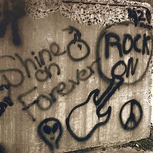 Meet your Posher, Andres